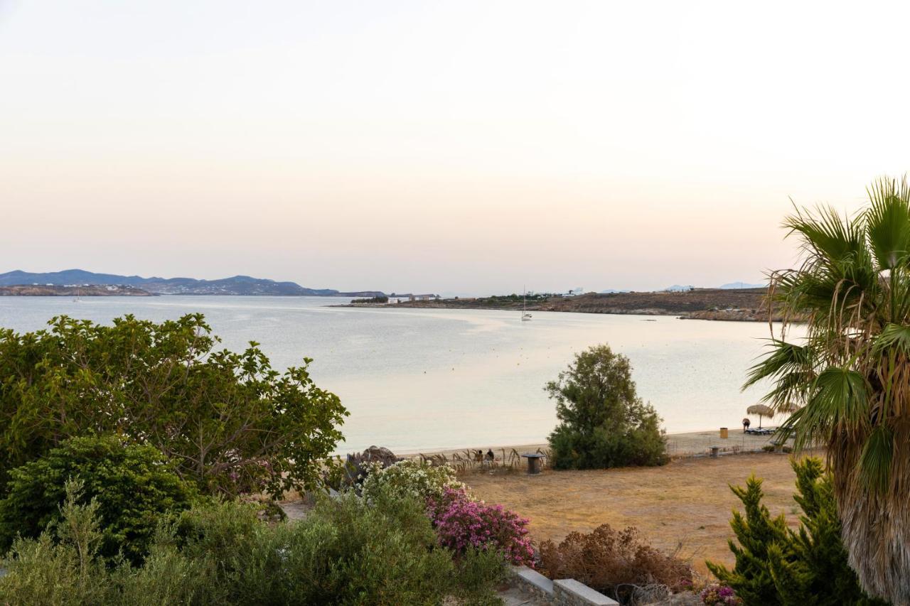 Omilos Beachfront House パロス島 エクステリア 写真